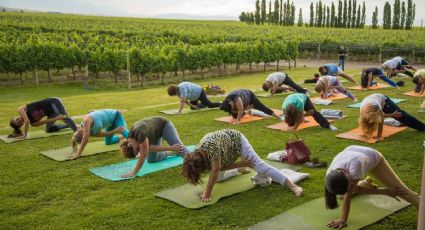 Yoga y relax por los caminos del Vino en Mendoza