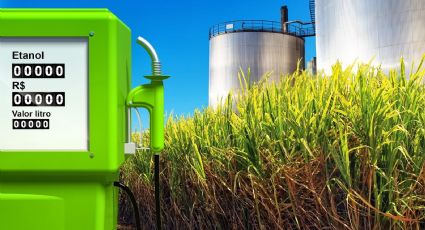 Mirabella: "Es clave que la política de biocombustible continúe y se profundice"