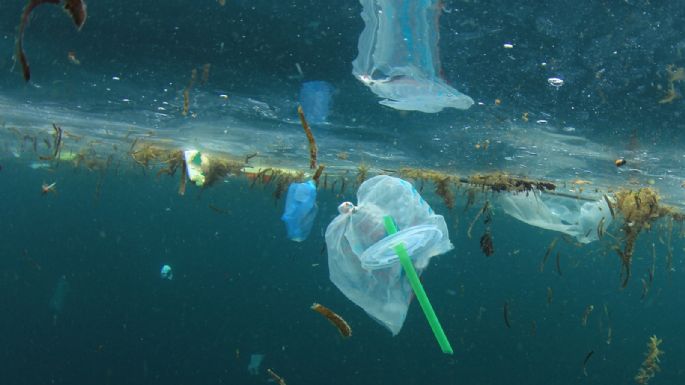 Cruzada de Canadá contra el plástico: a fines de 2021 las bolsas y los sorbetes serán ilegales