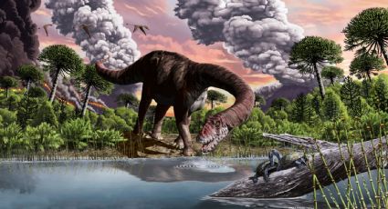 Una nueva especie de dinosaurio encontrada en Chubut devela misterios del período Jurásico