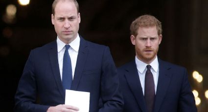 Lady Di llora desde el cielo: el drama que unió al príncipe William con su hermano Harry