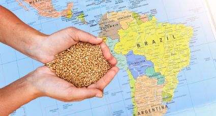 Desolador: el hambre en América Latina aumentó por quinto año consecutivo