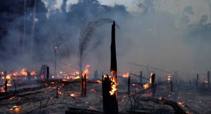 Por ley: las tierras incendiadas no podrán comercializarse