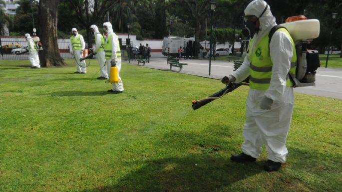 La Provincia de Buenos Aires confirmó casi 100 casos de dengue