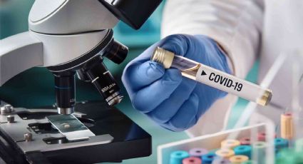 ¡A cruzar los dedos! La universidad de Oxford prueba la vacuna del coronavirus en humanos