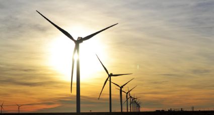 Santa Cruz busca impulsar el desarrollo de la energía renovable en la provincia