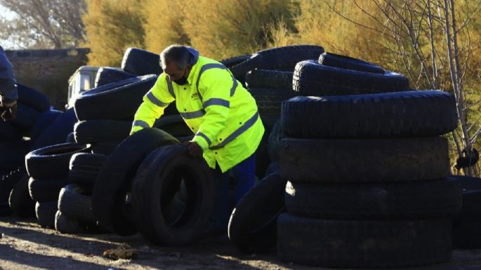 En el inicio de la campaña, más de mil neumáticos en desuso recolectados en Zapala