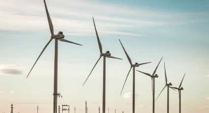 La Cámara Argentina de Energías Renovables en alerta por la implementación del "impuesto al viento"