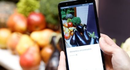 Narda Lepes lanza una app para incentivar consumo de verduras