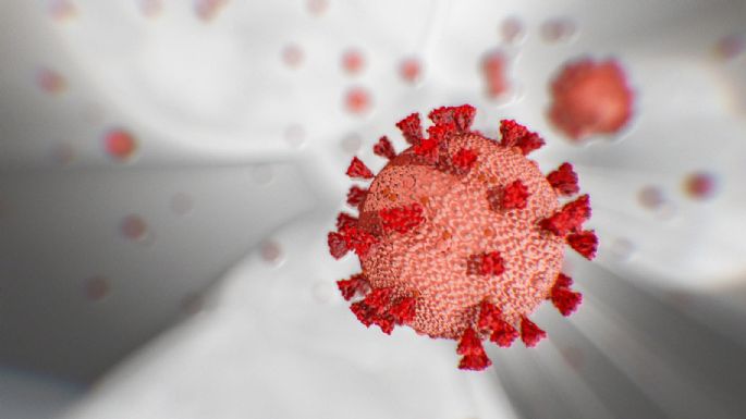 Coronavirus: Neuquén confirmó 22 nuevos casos positivos