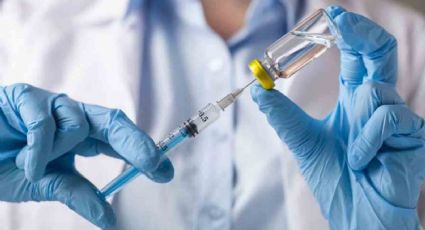 "En enero tendremos el primer lote": Director del laboratorio argentino que fabricará la vacuna