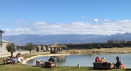 Enoturismo en Mendoza: comida al aire libre y visitas guiadas
