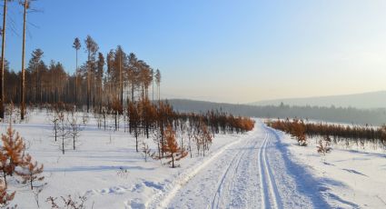 Rusia: sorprendente descubrimiento en una de las regiones más frías del mundo