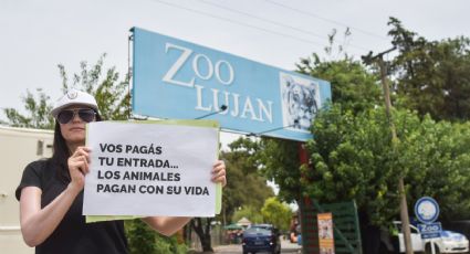 Por "desafiantes", el Gobierno mandó a cerrar el zoológico de Luján