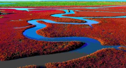 La pintoresca playa de China que cambia de color en otoño