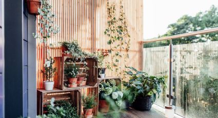 5 tips para practicar jardinería en el balcón