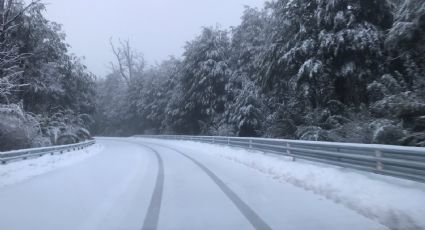 Increíble: nevó en varias localidades de Neuquén