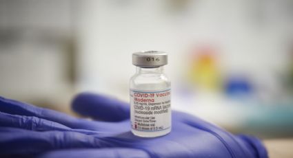 Vacuna contra el coronavirus: así continúan las cifras de esta medida