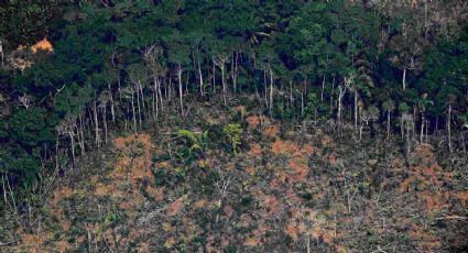 La Amazonía brasileña perdió cuatro veces la superficie de CABA en solo un mes