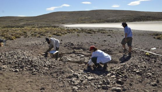 Sorpresa en la Patagonia por un gran hallazgo prehistórico