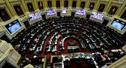 ELECCIONES 2021: cuántas bancas se juega el Frente de Todos en el Senado