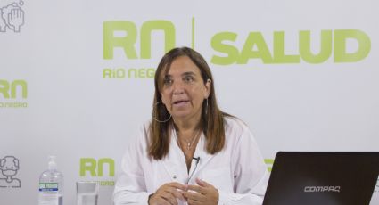 Mercedes Ibero renunció al Ministerio de Salud de Río Negro: los motivos