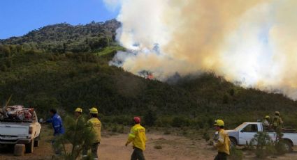 Cómo sigue el incendio forestal en Aluminé: trabajan más de ochenta brigadistas en la zona