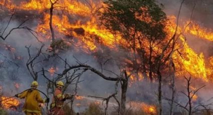 Villa La Angostura se adhirió a la emergencia ígnea impuesta para prevenir nuevos incendios