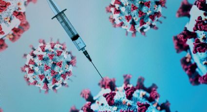 Ranking de vacunación contra el coronavirus: qué posición ocupa Neuquén