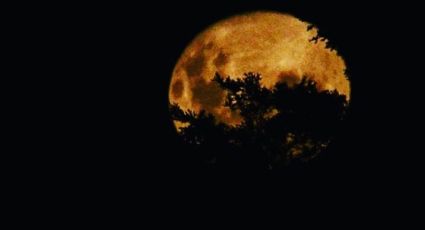 La luna llena de marzo maravilló el cielo de Neuquén