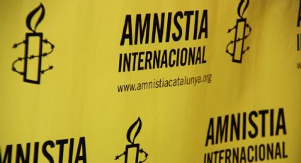Amnistía Internacional solicitó información sobre los hechos de represión en la Capital Federal