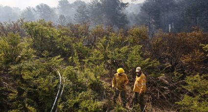 Advierten sobre la posible reactivación del incendio forestal de Aluminé