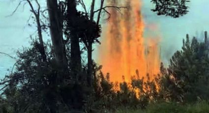 Por las altas temperaturas piden extremar los cuidados para evitar incendios forestales