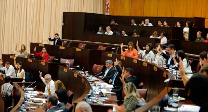 Legislatura de Neuquén: los funcionarios eligieron al vicepresidente segundo