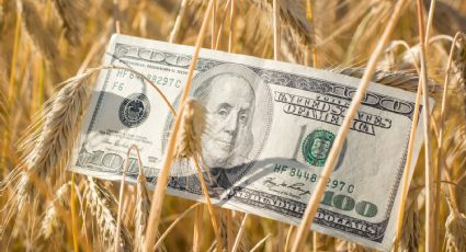 El Gobierno establecerá un nuevo dólar más alto para algunas exportaciones del sector agro