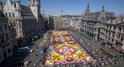 El espectáculo de la alfombra de casi 400 mil flores volvió a Bélgica tras cuatro años de ausencia