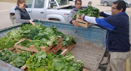 Donaron verduras a la sede de Cáritas en Plottier
