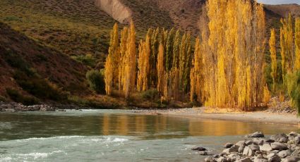 El río Neuquén podría registrar en enero el caudal más bajo de la historia