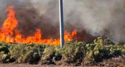 Un incendio devoró 30 hectáreas de campo en la localidad de Añelo