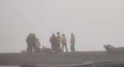Brigadistas y bomberos de Junín de los Andes combaten un incendio en el Lago Tromen