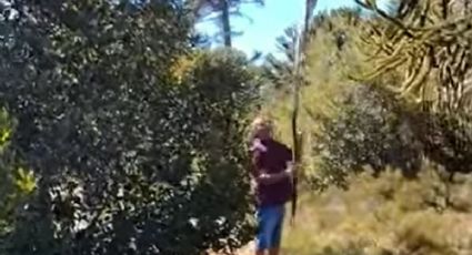 Filmaron a tres personas cosechando piñones sin permiso en un área exclusiva de la comunidad Mapuche