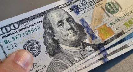 Paso por paso: cómo identificar los billetes de dólar falsos