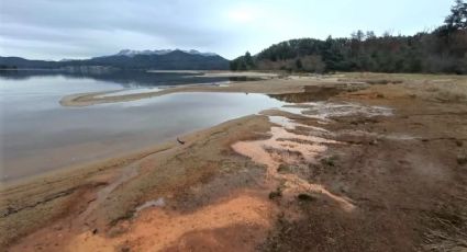 Villa La Angostura: confirman contaminación en el lago Nahuel Huapi y en la laguna Calafate