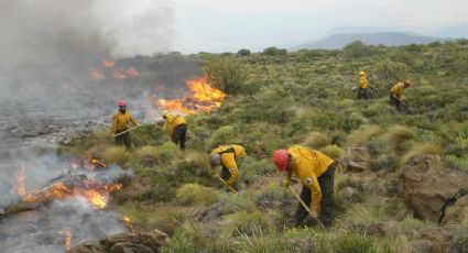 Ante los múltiples incendios, el gobierno de Neuquén buscará decretar la Emergencia Ígnea