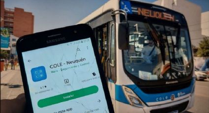 Desde su implementación hace un año, el sistema COLE creció 158 por ciento en Neuquén