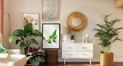 3 plantas que le darán a tu hogar un toque selvático y original