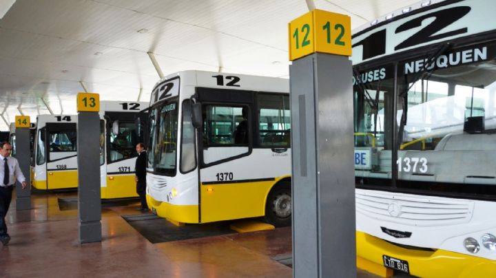 Controles en Autobuses Neuquén: impidieron la salida de más de 30 unidades por fallas mecánicas
