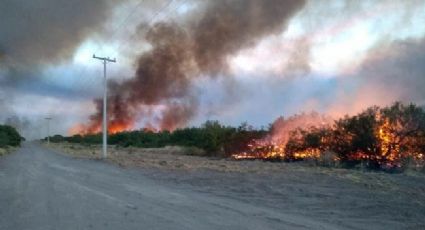 "6 mil hectáreas dañadas": Río Colorado y las consecuencias del fuego...