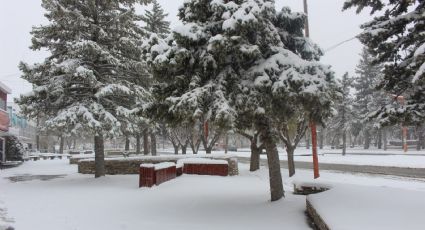 Neuquén de blanco: llegaron las primeras nevadas a Zapala y Las Coloradas