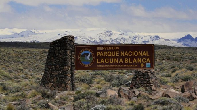 El Parque Nacional Laguna Blanca participó de un encuentro virtual de Turismo